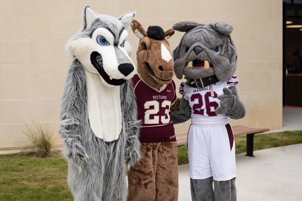 Timberwolf alongside other school mascots at a community event