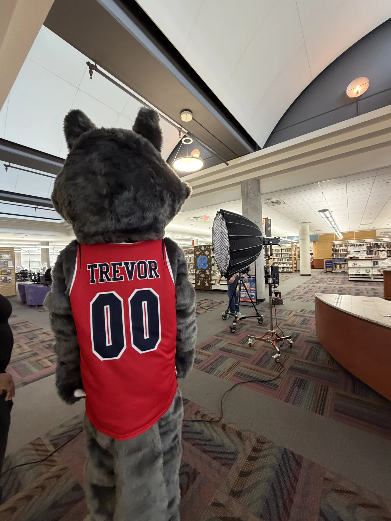 Timberwolf from behind in a red Trevor jersey near studio lighting in a library